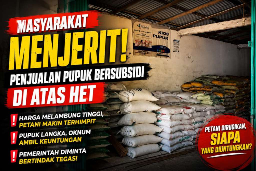 Wow! Harga Pupuk Urea Subsidi di Seluma Rp120 Ribu per Karung, Distan Buka Suara