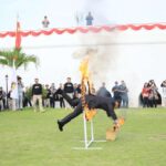 Aksi Spontan Kapolda dan Wakapolda Bengkulu Lompati Ring Api di Hari Bhayangkara ke-80