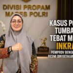 Kasus Pohon Tumbang Tebat Monok Inkrah, Pemprov Bengkulu dkk Resmi Dinyatakan Bersalah