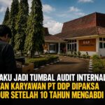 Mengaku Jadi Tumbal Audit Internal, Mantan Karyawan PT DDP Dipaksa Mundur Setelah 10 Tahun Mengabdi Mengaku Jadi Tumbal Audit Internal, Mantan Karyawan PT DDP Dipaksa Mundur Setelah 10 Tahun Mengabdi