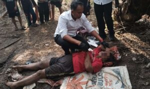 Petani Perempuan di Seluma Ditemukan Meninggal di Kebun Sawit Usai Posyandu Petani Perempuan di Seluma Ditemukan Meninggal di Kebun Sawit Usai ke Posyandu