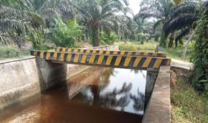 Proyek DD Padang Kelapo Tahun 2023 Menyisakan Utang Semen dan Upah Tukang Proyek DD Padang Kelapo Tahun 2023 Menyisakan Utang Semen dan Upah Tukang