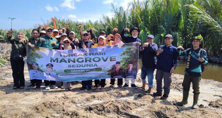 Sempat Diwarnai Aksi Penolakan Warga, Penanaman 1.000 Mangrove di Seluma Tetap Berjalan Lancar