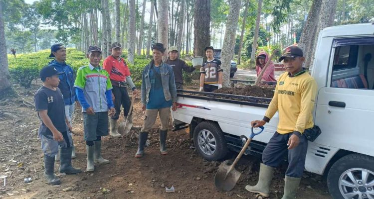 Slogan Bantu Rakyat Dibalas Rakyat Bantu Pemerintah, Warga Kepahiang Patungan Rp15 Juta Rehab Jalan Rusak