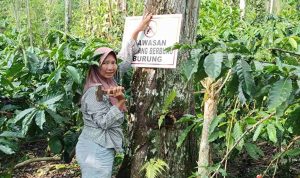 Perempuan Petani Batu Ampar Jadi Perisai Satwa, Tancapkan Larangan Berburu di Kebun Kopi Perempuan Petani Batu Ampar Jadi Perisai Satwa, Tancapkan Larangan Berburu di Kebun Kopi