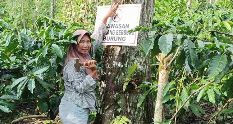 Perempuan Petani Batu Ampar Jadi Perisai Satwa, Tancapkan Larangan Berburu di Kebun Kopi