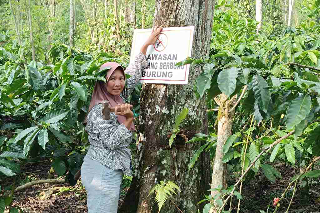 Perempuan Petani Batu Ampar Jadi Perisai Satwa, Tancapkan Larangan Berburu di Kebun Kopi Perempuan Petani Batu Ampar Jadi Perisai Satwa, Tancapkan Larangan Berburu di Kebun Kopi