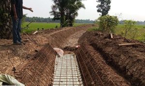 Petani Seluma Bingung, Rehabilitasi Irigasi Rp30,9 Miliar 100 atau 800 Meter