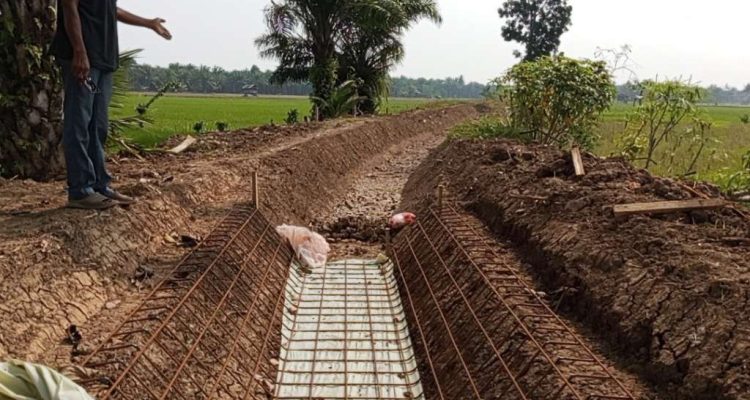 Petani Seluma Bingung, Rehabilitasi Irigasi Rp30,9 Miliar 100 atau 800 Meter Petani Seluma Bingung, Rehabilitasi Irigasi Rp30,9 Miliar 100 atau 800 Meter