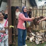 Program Ketahanan Pangan, Pemdes Tabeak Dipoa Bagikan Itik ke Warga