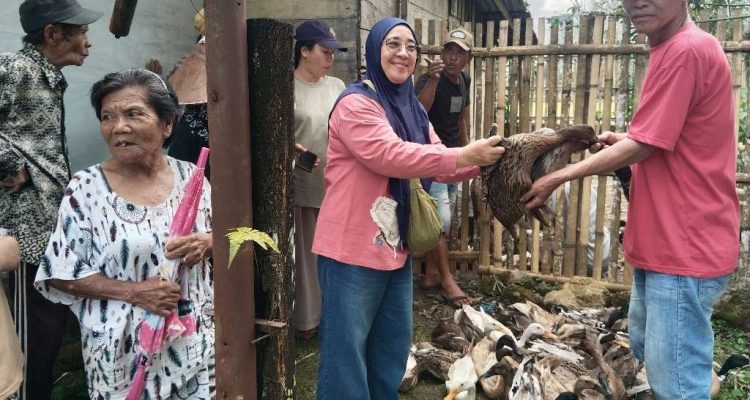 Program Ketahanan Pangan, Pemdes Tabeak Dipoa Bagikan Itik ke Warga