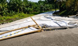 Proyek Irigasi BWSS VIII Rp30,9 Miliar di Seluma Masuk Areal Perkebunan Sawit Proyek Irigasi BWSS VIII Rp30,9 Miliar di Seluma Masuk Areal Perkebunan Sawit