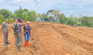 Temuan Pansus DPRD Bengkulu Ungkap Kegagalan Program Cetak Sawah di Rejang Lebong Temuan Pansus DPRD Bengkulu Ungkap Kegagalan Program Cetak Sawah di Rejang Lebong