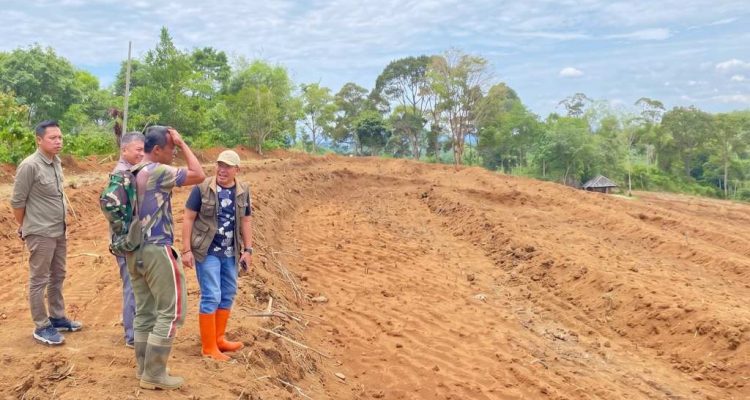 Temuan Pansus DPRD Bengkulu Ungkap Kegagalan Program Cetak Sawah di Rejang Lebong Temuan Pansus DPRD Bengkulu Ungkap Kegagalan Program Cetak Sawah di Rejang Lebong
