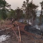 Bakar Sampah, Lahan Pemkab Seluma ikut Terbakar