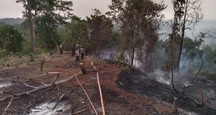 Bakar Sampah, Lahan Pemkab Seluma ikut Terbakar