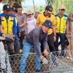 Bupati Azhari Turun Langsung Pasang Bronjong Bersama Warga Talang Leak