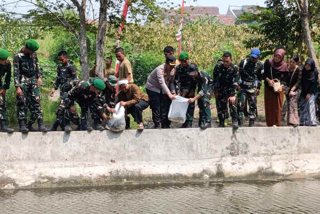 Jembatan Garuda Beroperasi, Koramil Sananwetan Hijaukan Kali Karplos dan Sebar Benih Ikan