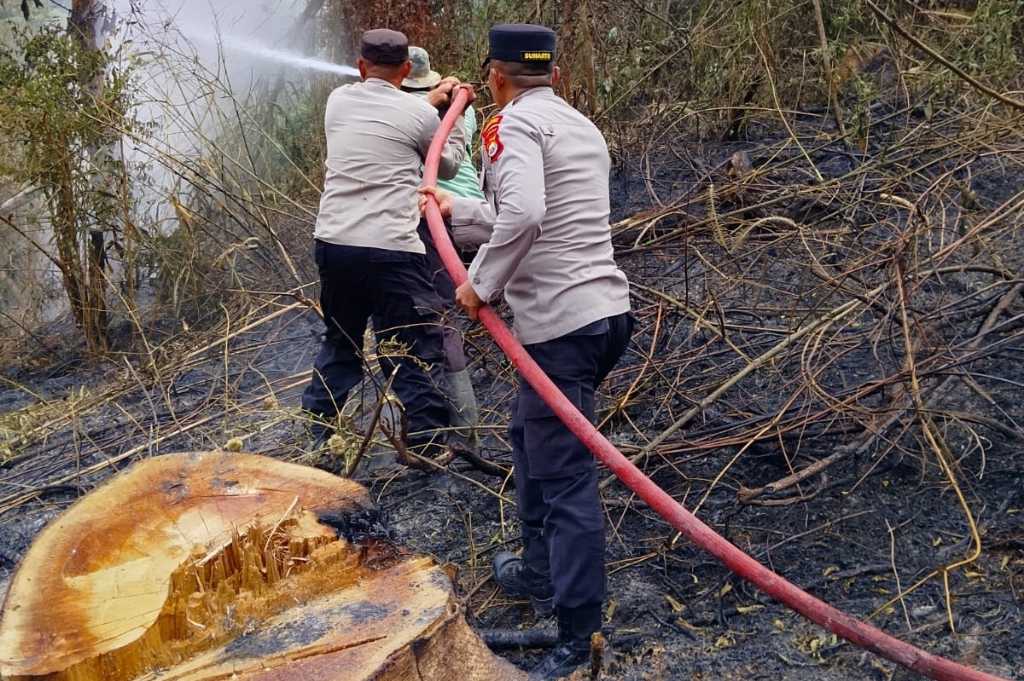 Polsek Rimbo Pengadang Bersama Warga Padamkan Karhutla di Tik Kuto Polsek Rimbo Pengadang Bersama Warga Padamkan Karhutla di Tik Kuto