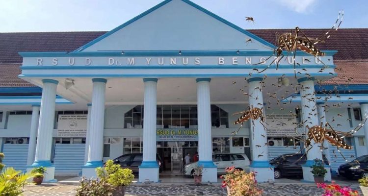 RSUD M Yunus Bengkulu Banyak Nyamuk Seperti Tak Terurus