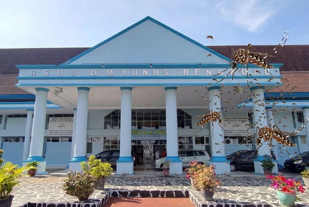 RSUD M Yunus Banyak Nyamuk Seperti Tak Terurus RSUD M Yunus Bengkulu Banyak Nyamuk Seperti Tak Terurus