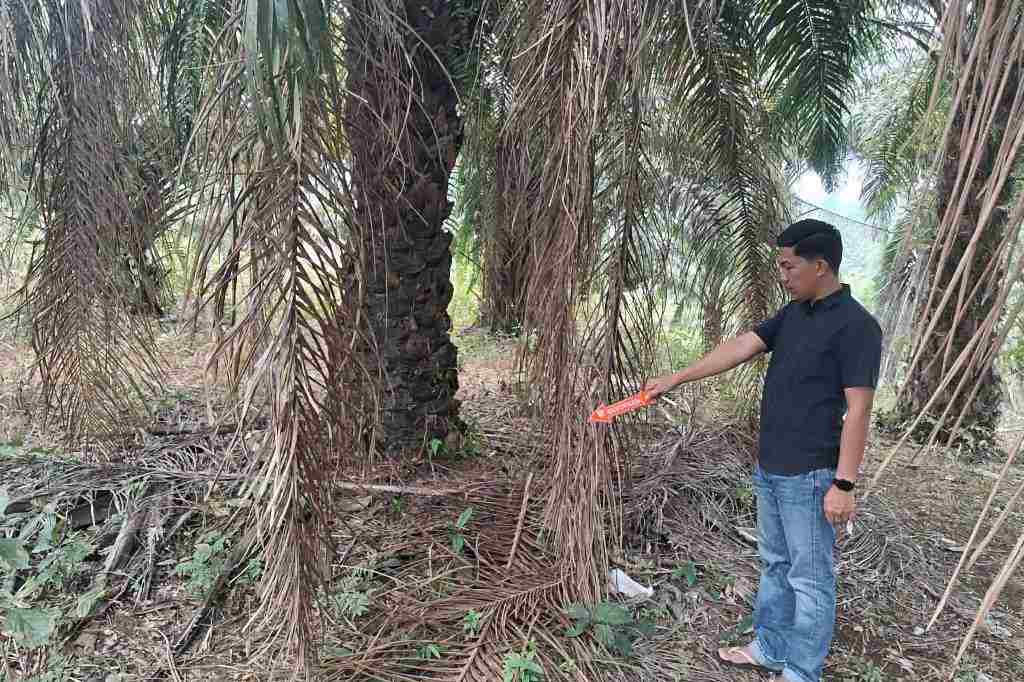 Setubuhi Anak Tiri Berulang Kali, Pria di Pagar Jati Bengkulu Tengah Diringkus Polisi