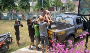 Bocah 9 Tahun Hanyut di Sungai Padang Guci Kaur, Ditemukan Meninggal Dunia Bocah 9 Tahun Hanyut di Sungai Padang Guci Kaur, Ditemukan Meninggal Dunia