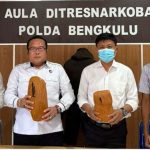 Polda Bengkulu Sita Ganja 2 Kg dari Pria Warga Penurunan
