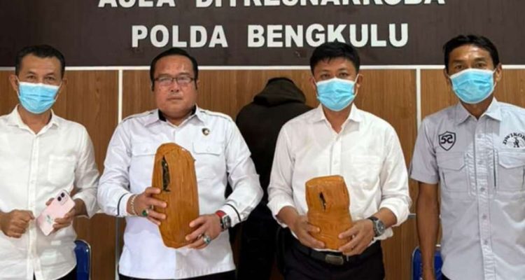 Polda Bengkulu Sita Ganja 2 Kg dari Pria Warga Penurunan Polda Bengkulu Sita Ganja 2 Kg dari Pria Warga Penurunan