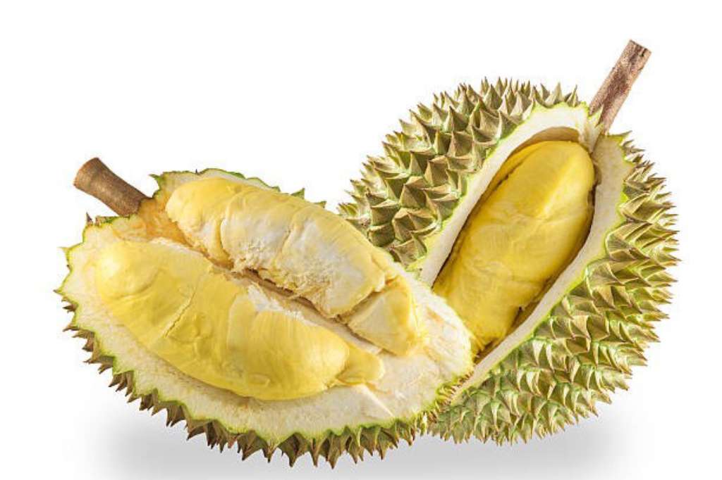Mengapa Buah Durian Pantas Disebut &Quot;Raja Segala Buah&Quot;?