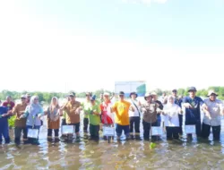 Tanam Mangrove, Pemprov Bengkulu Dukung Upaya Mitigasi Perubahan Iklim
