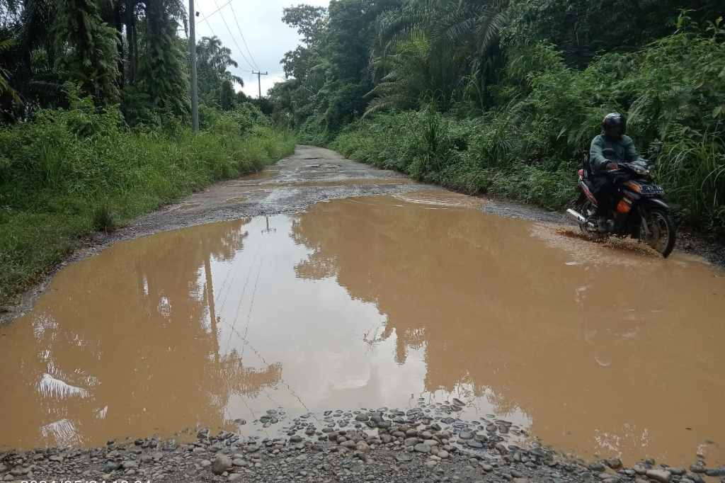 Jalan Lintas Milik Provinsi Bengkulu Ini Butuh Investor, Mau Dibuat Kolam Lele