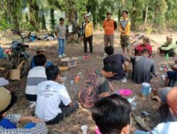 Sejumlah Pihak Bersihkan Lahan Lokasi Pembangunan Smpn 21 Satu Atap Di Desa Babat