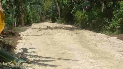 Pembangunan Di Pulau Enggano Jadi Sorotan, Komisaris Perusahaan Ditangkap Kpk Tahun 2023 Lalu