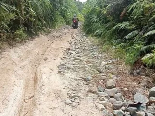 Kondisi Jalan Akses Desa Tanjung Aur Kabupaten Kaur