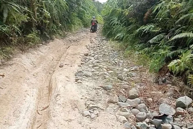 
					Kondisi Jalan Akses Desa Tanjung Aur Kabupaten Kaur