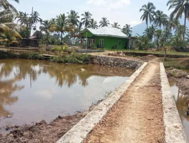 Jalan Usaha Tani (JUT) Menuju Kediaman Ketua RT 01