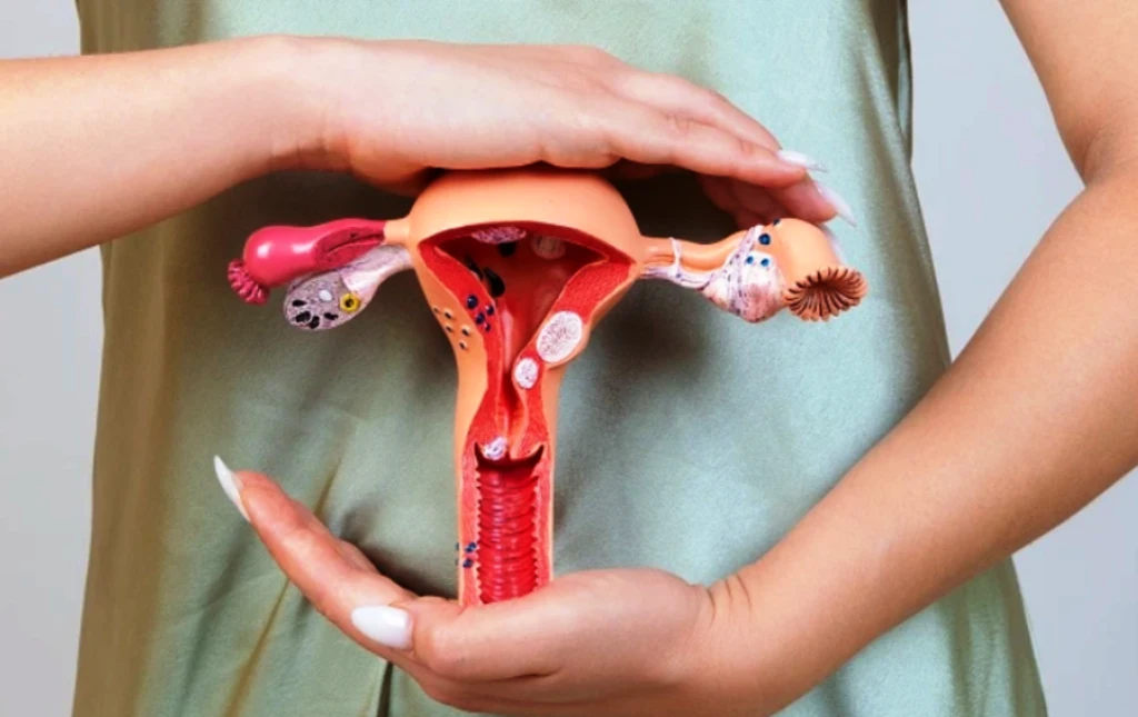 Mitos Dan Fakta Seputar Kesehatan Reproduksi Perempuan Yang Perlu Diketahui