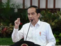 Jokowi Dituduh Cawe-Cawe, Ini Kata Waketum Gerindra 