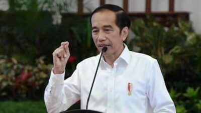 Jokowi Dituduh Cawe-Cawe, Ini Kata Waketum Gerindra 