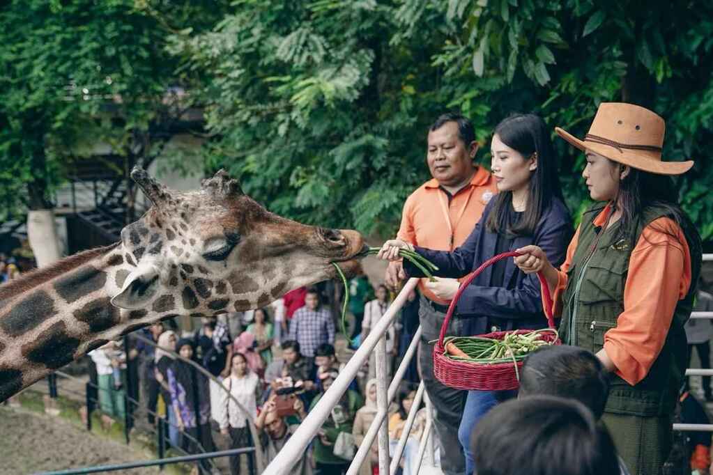 Bangkit Pasca Pandemi, Wamenparekraf Apresiasi Kebun Binatang Surabaya