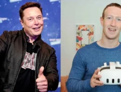 Dikonfirmasi, Elon Musk Akan Tarung Mma Dengan Mark Zuckerberg