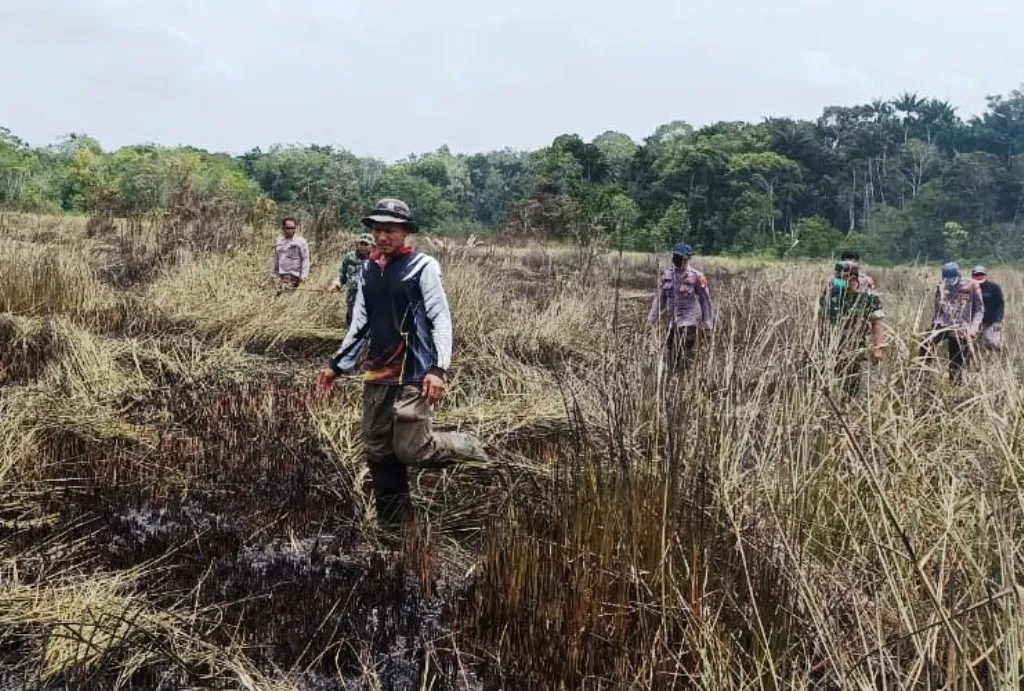 Lahan Gambut Seluas 200 Hektare Di Pulau Enggano Terbakar