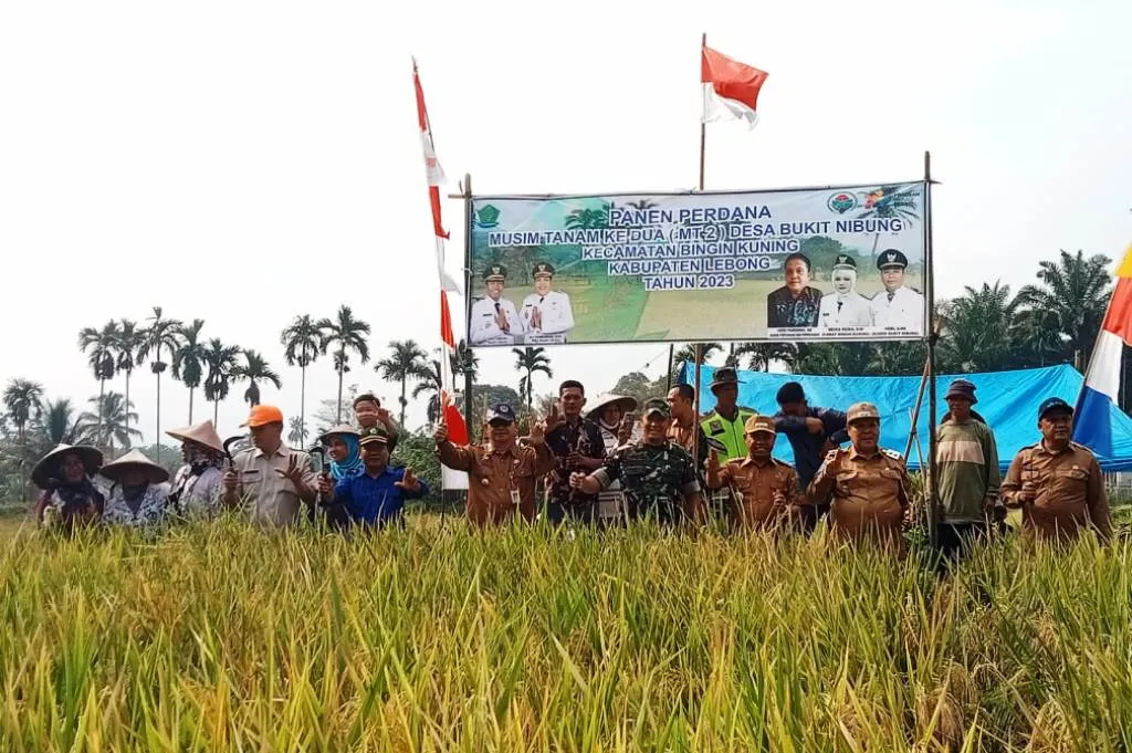 Panen Perdana Di Desa Bukit Nibung, Fahrurozi Dorong Masyarakat Optimis Ikuti Mt-2