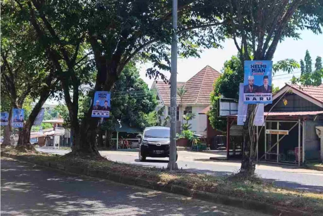 
APS Yang Dipasang Dengan Cara Dipaku Dipohon di jalan Sungai Rupat Kota Bengkulu Pada Rabu (24/6/24) 