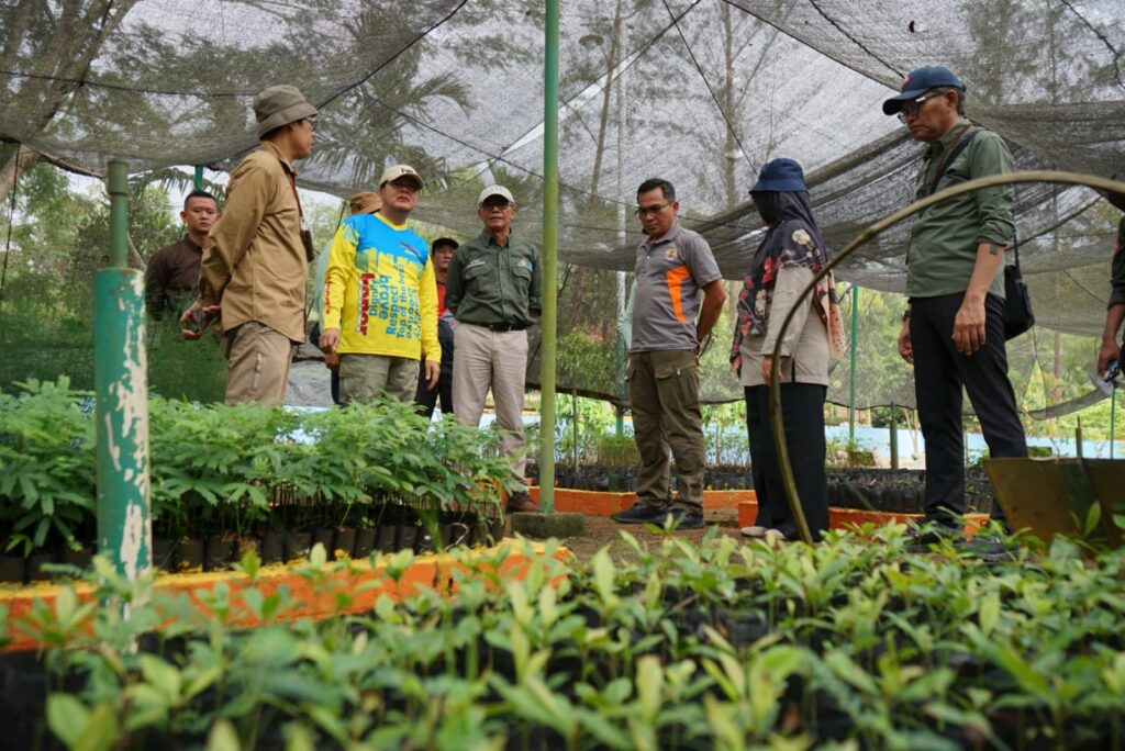 Gubernur Rohidin Mersyah Ajak Masyarakat Ikut Andil Rehabilitasi Hutan