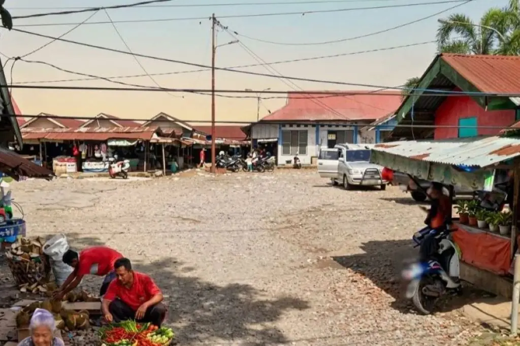 Puluhan Tahun Berdiri Pasar Pagar Dewa Tak Pernah Sumbang PAD