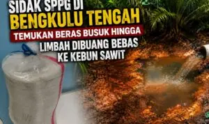 Sidak SPPG di Bengkulu Tengah Temukan Beras Busuk Hingga Limbah Dibuang Bebas ke Kebun Sawit