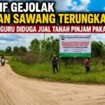 Motif Gejolak Lahan Sawang Terungkap, Oknum Guru Diduga Jual Tanah Pinjam Pakai Motif Gejolak Lahan Sawang Terungkap, Oknum Guru Diduga Jual Tanah Pinjam Pakai