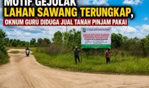 Motif Gejolak Lahan Sawang Terungkap, Oknum Guru Diduga Jual Tanah Pinjam Pakai Motif Gejolak Lahan Sawang Terungkap, Oknum Guru Diduga Jual Tanah Pinjam Pakai